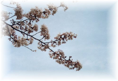 �l����