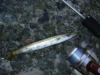 �J�}�X