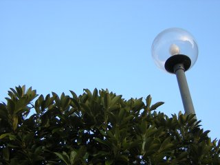 �Ɩ�