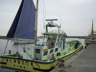 �o�D