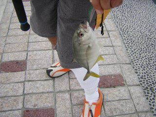 ���b�L