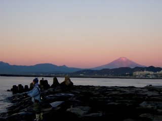 �g�x�m