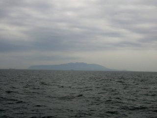 �哇
