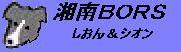 �����񁕃V�I��