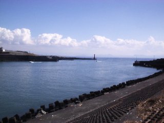 �c�q�̉Y