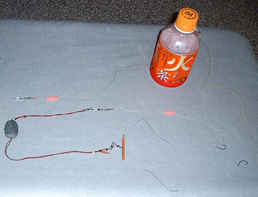 �ڥåȥܥȥ��⤭�ųݤ�