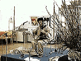 [PHOTO:Playing the Kokyu]