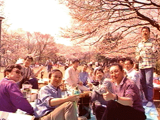 HANAMI2.GIF