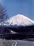 FUJI4.GIF