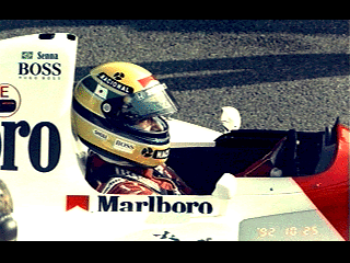 SENNA.GIF