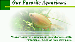 Our Favorite Aquariums
