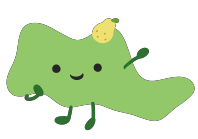 緑区
