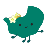 青葉区