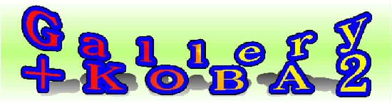 gallery2.jpg (25121 �o�C�g)