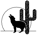 Wolf and cactus