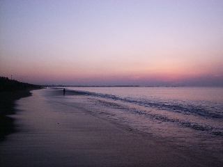 2000�N1��1���@�P