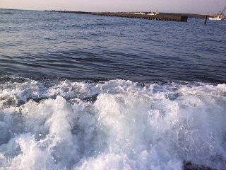 �{��T�[�t�@����