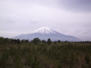 �����h���ɂ�