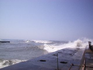 �͌��̍��g