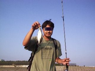 �q���Z�C�S����I�I