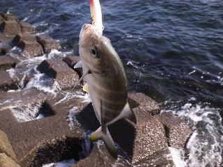 ���b�L�Ł`���B