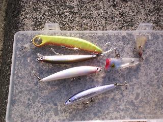 ���􃋃A�[�w