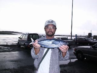 �J�c�I�f�d�s�̐Ԗx����