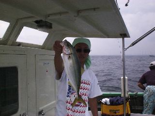 �C�i�_�f�d�s�P