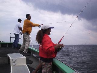 �`�[���p�V�t�B�J