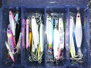 �����Ă������i�h�f