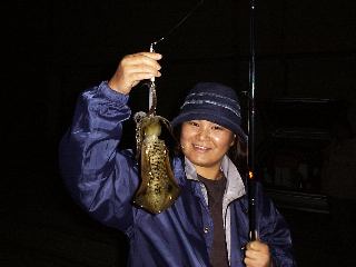 �ǂ��ł����H