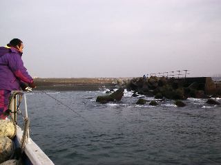 �X�Y�L�_��