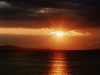 ���ɂĎB�e�g���C���C�g�t�B���^�[�g�p