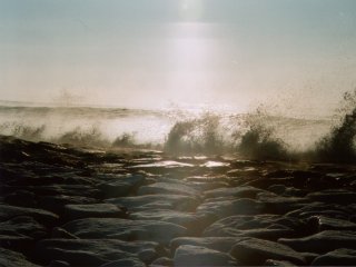 �����𗁂т�