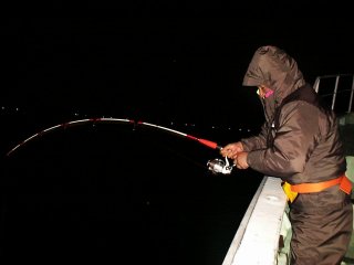 �o���t�@�C�g