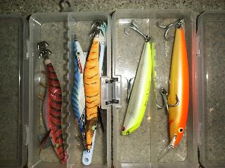 �G�M�����A�[