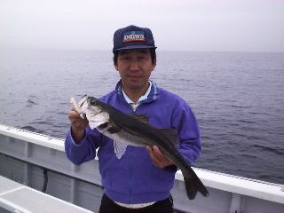 uehara���V�[�o�X