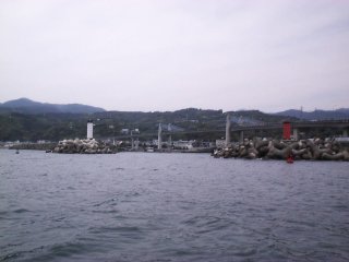 ����`�@�T���ۂ���ɂ�