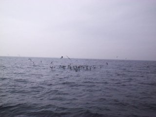 �g�����}