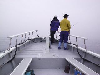 �i�u���T��