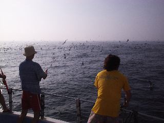 �g�����}