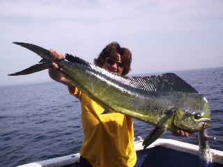 �S���P�Q�T�����@�V�C���L���b�`�̓Y�c����