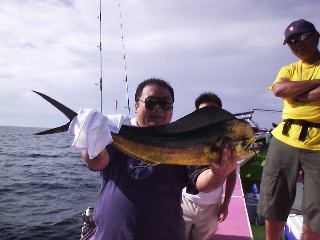 ���炽������V�C���f�d�s