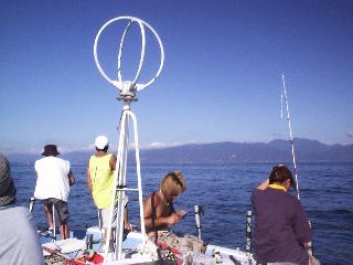 �~���V�ł�