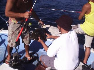 �}�c�_�C�I