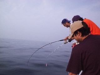 �V�C���Ɗi����