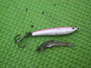 �}�b�`�@�U�@�x�C�g�H