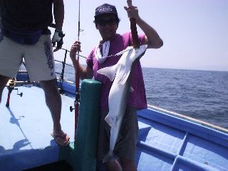 �T���f�d�s