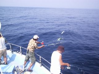 �V�C���Ɗi����Atsu����