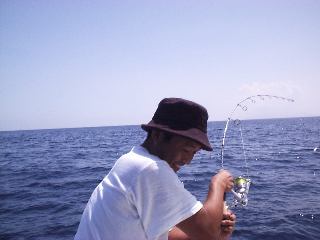 �V�C���Ɗi���̍֓�����